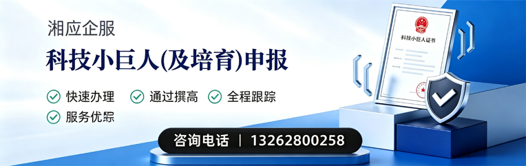 呼和浩特科技小巨人及培育企业申报服务