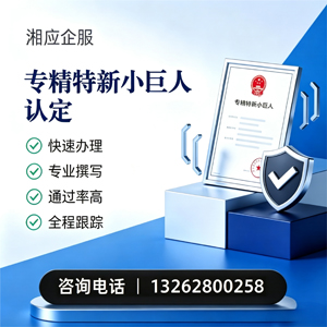 呼和浩特专精特新小巨人申报服务