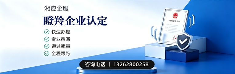 呼和浩特瞪羚企业认定申报服务