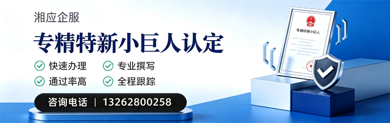 呼和浩特专精特新小巨人申报服务